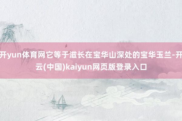 开yun体育网它等于滋长在宝华山深处的宝华玉兰-开云(中国)kaiyun网页版登录入口