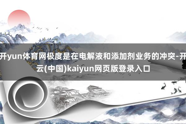 开yun体育网极度是在电解液和添加剂业务的冲突-开云(中国)kaiyun网页版登录入口