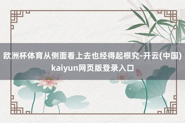 欧洲杯体育从侧面看上去也经得起根究-开云(中国)kaiyun网页版登录入口