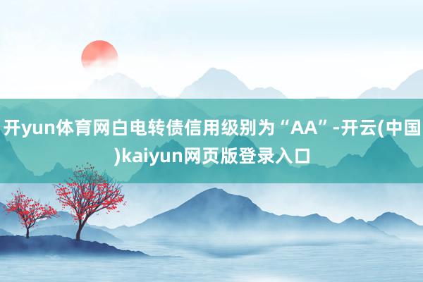 开yun体育网白电转债信用级别为“AA”-开云(中国)kaiyun网页版登录入口