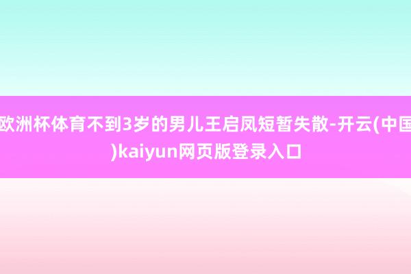 欧洲杯体育不到3岁的男儿王启凤短暂失散-开云(中国)kaiyun网页版登录入口
