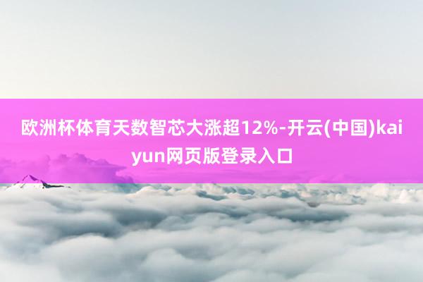 欧洲杯体育天数智芯大涨超12%-开云(中国)kaiyun网页版登录入口