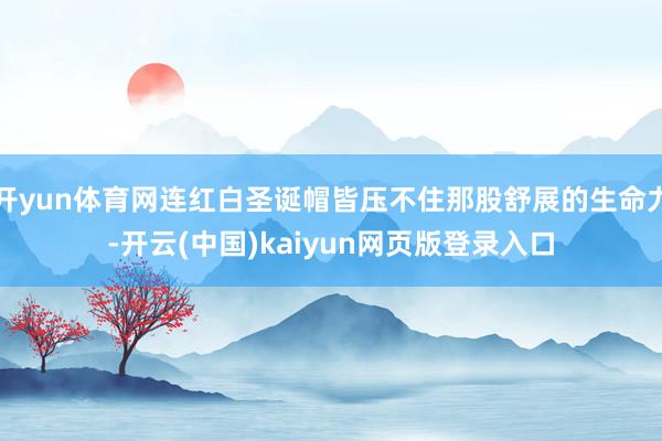 开yun体育网连红白圣诞帽皆压不住那股舒展的生命力-开云(中国)kaiyun网页版登录入口