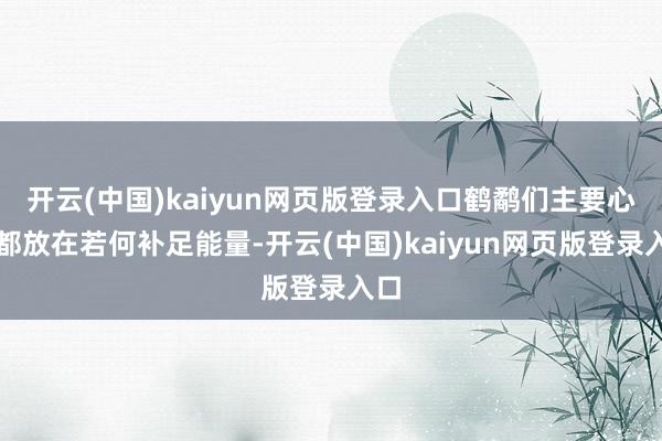 开云(中国)kaiyun网页版登录入口鹤鹬们主要心想都放在若何补足能量-开云(中国)kaiyun网页版登录入口