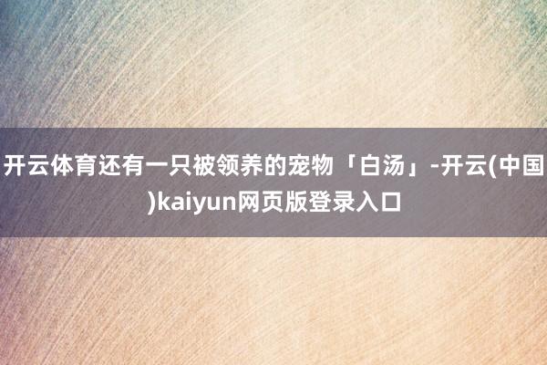 开云体育还有一只被领养的宠物「白汤」-开云(中国)kaiyun网页版登录入口