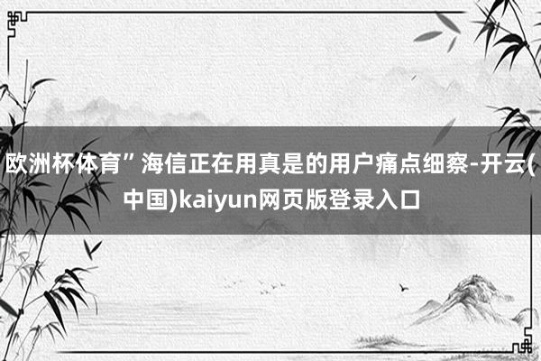 欧洲杯体育”海信正在用真是的用户痛点细察-开云(中国)kaiyun网页版登录入口