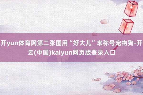 开yun体育网第二张图用“好大儿”来称号宠物狗-开云(中国)kaiyun网页版登录入口